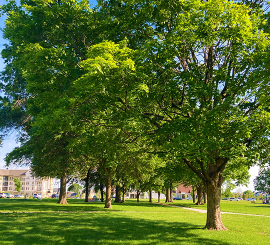 Parkettes, trails, and greenery await you at Meadowbrook Park in Prairie Village Kansas,